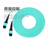 12 Core MPO/MTP Fiber Patch Cord