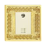 Brass House TV Socket / Tel Socket / Telephone Socket