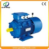 Yej /Y2ej/Msej 1HP Electric AC Motor