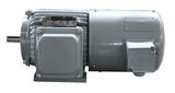 Cast Iron Electric Three Phase Frequency-Variable and Speed-Regulation Induction Motor