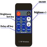6A 288W DC12V-24V Iron Shell 11 Keys RF Remote LED Dimmer