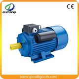 Yl Sing Phase Dual-Capacitor Induction Motors