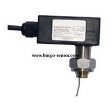 Paddle Type Flow Switch G2'' Connection