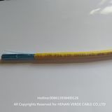 Cmr UL Class Network Cable Shield CAT6 Cable
