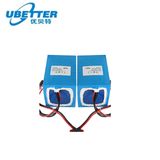 Professional Lithium LiFePO4 Battery Pack 26650 24V 6ah