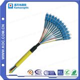 Sc Multifiber Optic Network Patch Cord and Pigtail