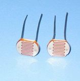 Free Sample Ldr Sensor Photoresistor with Diameter 11mm for Light