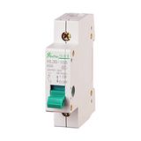 Isolating Switch (Main Switch)
