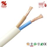 450/750V Bvvr Mutil-Core Flexible Round Electric Wire and Cable