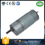 24 V DC Gear Motor with Brush Electric Motor