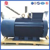 Y2 Series Low Voltage Large Power Asynchronous Motor