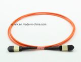 MPO-MPO mm 50/125 12cores Optical Fiber Patchcord