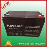 12V 100ah Lead Acid AGM Battery for Telecom, Solar & UPS