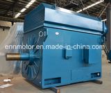 High Voltage Pm Motor (frame 450~630)