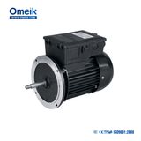 Omeik FT Series SPA Pump Motor 220V/50Hz
