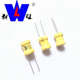 Ferrite Core Radial Fixed Power Inductor with Good Quality 101K