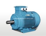 Ye2 AC Three Phase Induction Motor with CE Approved