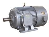 Yvp Series Frenquency Changing and Speed Regulating Conveyor Belt Motor