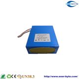 LiFePO4 Battery Pack 24V 20ah for Robot