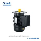Omeik My 3HP Induction Motor