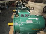 High Efficiency Ye3 Cast Iron Induction Electric Motor