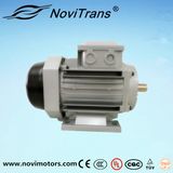 Self-Protection System Burnout-Proof Synchronous Motor