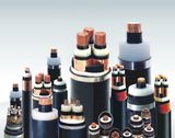 XLPE Insulated and PVC Sheathed Low Voltage Power Cable