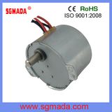 AC Synchronous Motor (49TYD-375-2)