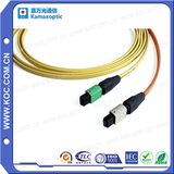 MPO/MTP 12fibers Multimode Fiber Optical Patchcord