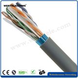 Fluke Test Passed FTP Cat 7 Network LAN Cable