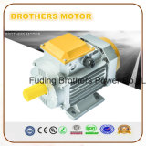 Ms Series Asynchronous Motor Three Phase Induction Electric Motor Squirrel Cage Motor