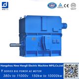 Ykk High Voltage 3kv 800kw 1000rpm AC Electrical Motor