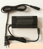 VRLA Lead Acid Electric Vehicles/Cars Battery Charger