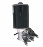 76zyt DC Worm Gear Motor