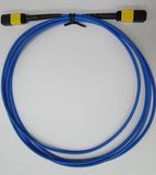 MPO/APC-MPO/APC Fiber Optic Patch Cord for Data Center