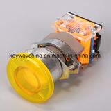 PC Push Button Switch with Ce