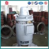 IEC Standard Vertical Hollow Shaft Vhs Pump Motor
