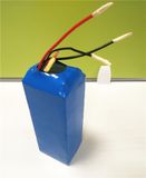 36V 11ah Lithium Battery Pack for Electric Bike