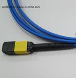 MPO/APC-MPO/APC Fiber Optic Cable