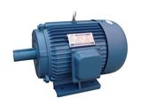 Three-Phase Induction Motor (Y)