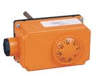 Immersion Thermostat IT01