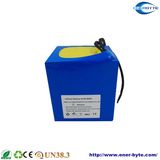 Customized High Power Lithium Battery Pack