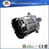 Power 2000W Electric Motor