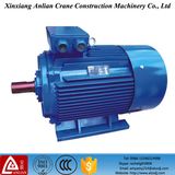 Y Series Three Phase AC Induction Mixer Motor