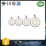 Piezoelectric Ceramics Curved Drive Plates