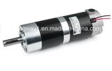 71mm Pm DC Planetary Gear Motor for Garden Tools