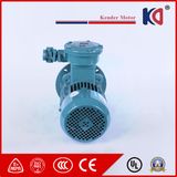 High Quality Explosion-Proof Asynchronous Motor for Crusher