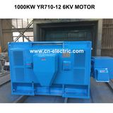 1000kw Yr Series High Voltage Slip Ring Yr710 AC Motor