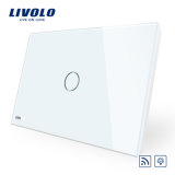 Livolo Wall Light Wireless Remote Dimmer Touch Switch Vl-C901dr-11