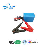 Lithium Ion Pack Battery 18650 12V 10ah for Vacuum Cleaner